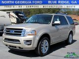 2017 White Gold Ford Expedition Limited #119280775