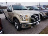 2017 White Gold Ford F150 XLT SuperCab 4x4 #119355209