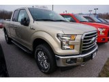 2017 White Gold Ford F150 XLT SuperCab 4x4 #119355208
