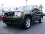 2009 Jeep Green Metallic Jeep Grand Cherokee Laredo #11891999