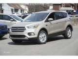 2017 White Gold Ford Escape SE 4WD #119604146