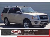 White Gold Ford Expedition in 2017
