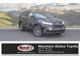 2017 Midnight Black Metallic Toyota Highlander XLE AWD #119792434