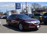 2010 Basque Red Pearl Acura TL 3.5 #119883659