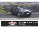 2017 Magnetic Gray Metallic Toyota RAV4 LE AWD #119970582