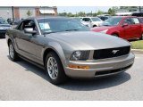 2005 Mineral Grey Metallic Ford Mustang V6 Premium Convertible #11983958