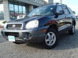 2004 Moonlit Blue Hyundai Santa Fe  #11972244