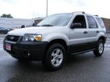 2005 Silver Metallic Ford Escape XLT V6 #11980169