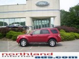 2009 Sangria Red Metallic Ford Escape Limited 4WD #11970465