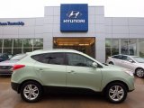 Kiwi Green Hyundai Tucson in 2012