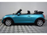 Caribbean Aqua Mini Convertible in 2017