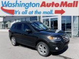 2012 Black Forest Green Hyundai Santa Fe SE V6 AWD #120324437