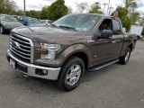 2015 Caribou Metallic Ford F150 XLT SuperCab 4x4 #120324374