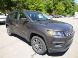 Granite Crystal Metallic Jeep Compass in 2017