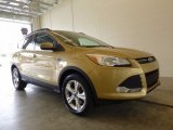 2014 Karat Gold Ford Escape SE 1.6L EcoBoost 4WD #120560564