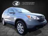 2008 Glacier Blue Metallic Honda CR-V EX-L 4WD #120560522