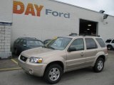 2007 Dune Pearl Metallic Ford Escape Limited 4WD #12038776