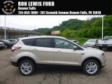 2017 White Gold Ford Escape SE 4WD #120680127