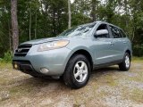 2007 Natural Khaki Green Hyundai Santa Fe GLS 4WD #120852395