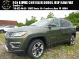 Olive Green Pearl Jeep Compass in 2017