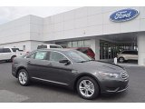 2017 Ford Taurus Magnetic