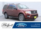 Bronze Fire Ford Expedition in 2017