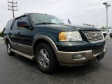Estate Green Metallic Ford Expedition in 2004