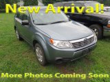 2010 Newport Blue Pearl Subaru Forester 2.5 X #121248515