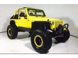 2002 Solar Yellow Jeep Wrangler Sport 4x4 #121245052