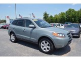 2008 Platinum Sage Hyundai Santa Fe SE #121246494