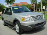 2005 Silver Birch Metallic Ford Expedition XLT #12125326