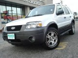 2005 Oxford White Ford Escape XLT V6 4WD #12122307