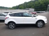 2017 White Platinum Ford Escape SE 4WD #121867859