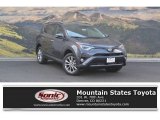 2017 Magnetic Gray Metallic Toyota RAV4 Limited AWD #121867702