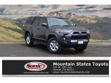 2017 Magnetic Gray Metallic Toyota 4Runner SR5 4x4 #122078425