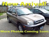 Mocha Frost Beige Hyundai Santa Fe in 2005