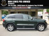 2011 Natural Green Pearl Jeep Grand Cherokee Overland 4x4 #122128161