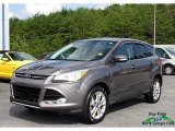 2013 Sterling Gray Metallic Ford Escape SEL 1.6L EcoBoost #122128027