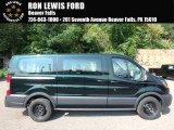 2017 Green Gem Ford Transit Wagon XL #122212240