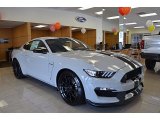 2017 Avalanche Gray Ford Mustang Shelby GT350 #122266771