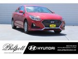 2018 Scarlet Red Hyundai Sonata SE #122322558