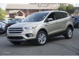 2017 White Gold Ford Escape SE 4WD #122346272