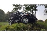 2003 Black Clearcoat Jeep Wrangler Sahara 4x4 #122479831