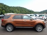 2017 Canyon Ridge Ford Explorer Limited 4WD #122498906