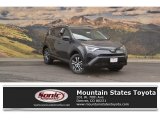 2017 Magnetic Gray Metallic Toyota RAV4 LE #122601252