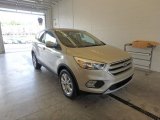2017 White Gold Ford Escape SE 4WD #122622931