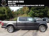 2017 Magnetic Ford F150 XL SuperCrew 4x4 #122704041
