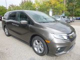 Pacific Pewter Metallic Honda Odyssey in 2018