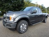 Magnetic Ford F150 in 2018