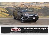 2018 Magnetic Gray Metallic Toyota RAV4 LE AWD #122983799